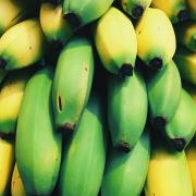 Resistant starch – found in foods such as oats, cereal, beans and slightly green bananas - was shown to be useful in preventing cancers (Canva)