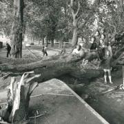 A tree was blown down in Blackbird Leys in 1975