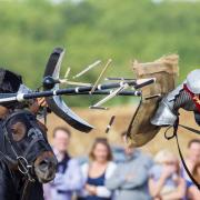 A jousting tournament is set to be held at the palace