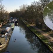 Dead fish have been seen in Oxford's canal