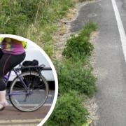 Cyclists slam 'dangerous' and 'overgrown' track on main road