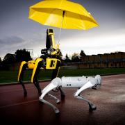 Robot racing returns to Iffley Road running track for IF Oxford science festival