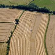Farmers protecting habitats on their land are to benefit from new payments