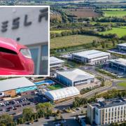Tesla looking for sale employees to run new site