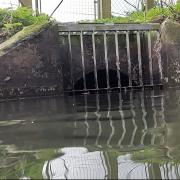 Didcot sewage treatment works untreated outfall