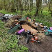 The heap, including pallets, plastic troughs and a broken barbecue, was recently found at Gypsy Lane in Grove