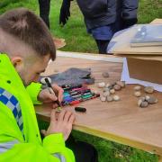 PC Symm taking part in rock decorating