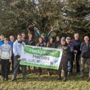 Hedgerow Heroes at Eynsham