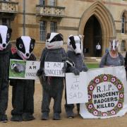 The group is calling on Oxford University researchers to support them in opposing the cull