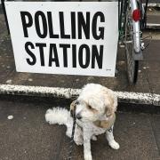 Headington hound Harry joined his human Clare Cook at the polling station.
