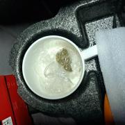 Police discovered an unusual item in a male's car after he was arrested.