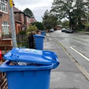 Recycling bins were left uncollected (stock picture).