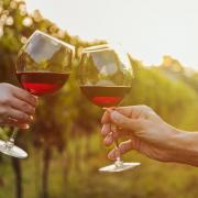 Wine, drunk in moderation, can be good for you and have health benefits including reducing the risk of heart disease and helping with cholesterol levels.