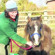 Laura Print-Lyons with a Welsh Mountain pony