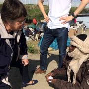 Makeshift: Catherine Bearder talks to a migrant at one of the camps in Calais