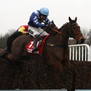 GLORY: Pete The Feat and Aidan Coleman clear the last fence before going on to win the 32Red Veterans’ Handicap Chase at Sandown on Saturday Julian Herbert/PA Wire