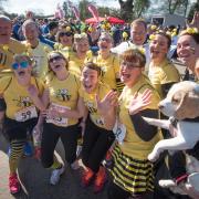 Picture: Andrew Walmsley.Blenheim Palace, Woodstock, Oxford.17th April 2016.OX5 Run 2016.Booked by Michael Race..Beth's Bees..Runners taking part in the 5 mile run around the grounds of Blenheim Palace to raise money for the Children's Hospital..