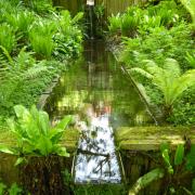 A water feature in the Lyde Gardens in Bledlow Pictures: George Wormald