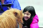 Zoe Davies meets one of the ponies