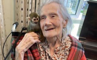 Monkeys at an Oxford care home