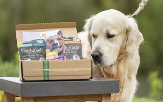 Dogs in Oxfordshire among first to snap up  National Trust Pooch Passport