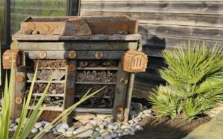 A 'bug hotel' at Crocodiles of the World