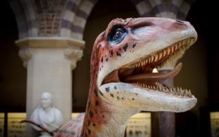 Remains of dinosaurs have been found in Oxfordshire