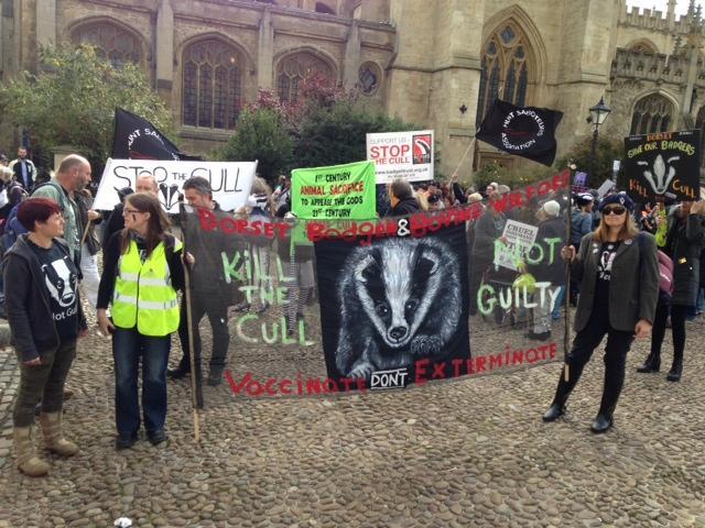 Protest against the culling of badgers goes through Oxford