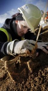 Archaeologist Alex Starkie uncovers a skull