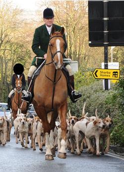 Julian Barnfield leads the hunt on Boxing Day