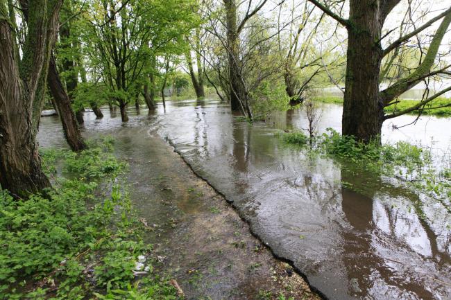 The River Ock in Abingdon, during 2012 flooding. Pic: Antony Moore