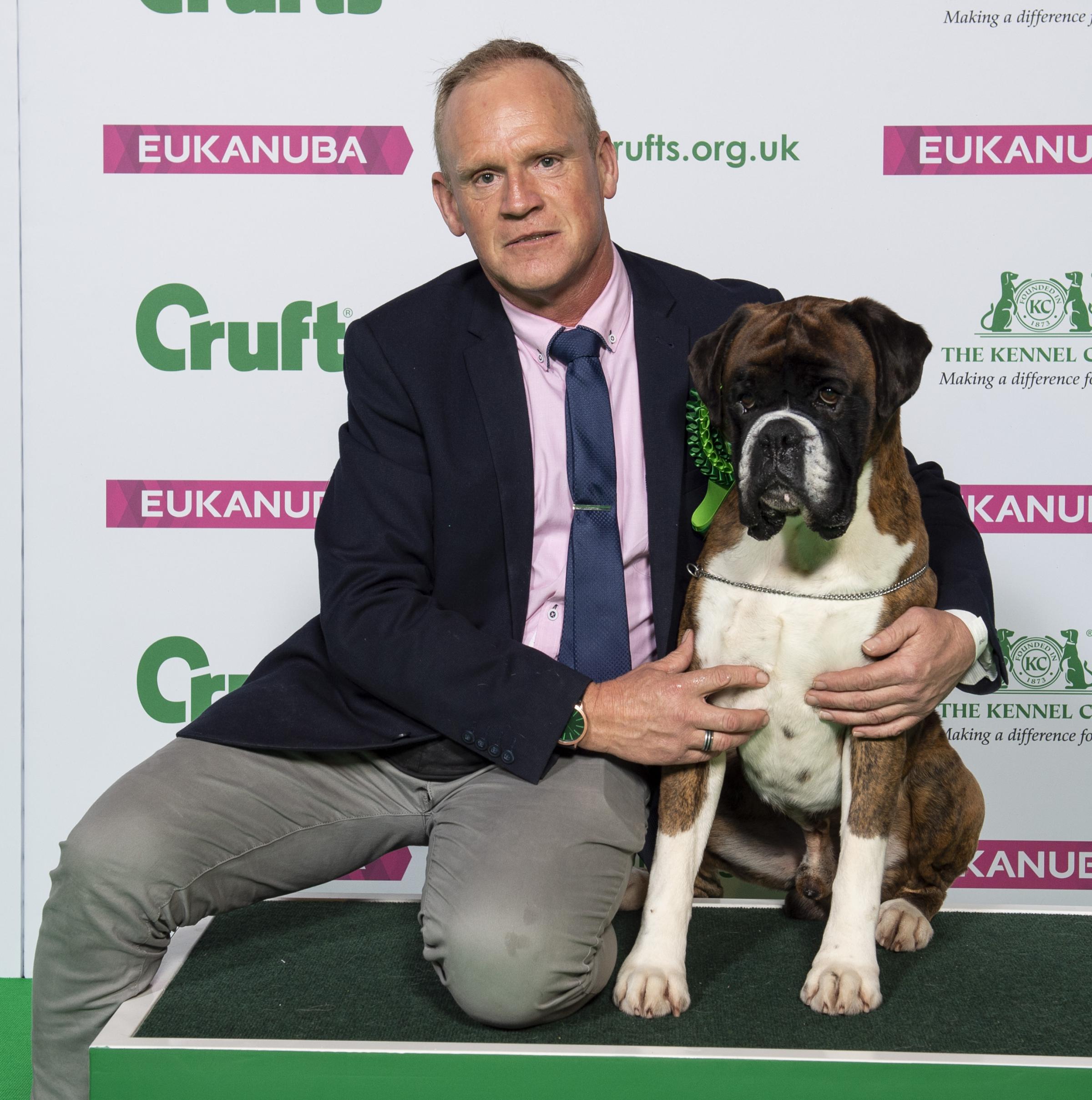 hound winner crufts 2019